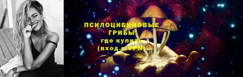 купить наркотики цена  Красный Холм  Псилоцибиновые грибы Psilocybe 